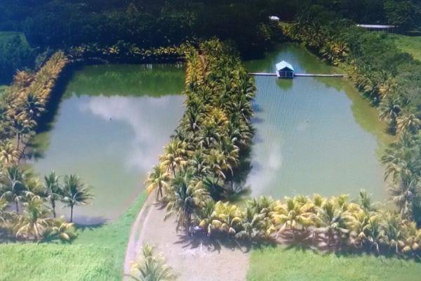 Foto de rancho en el tejar rancho del padre s/n , el tejar, medellín, veracruz de ignacio de la llave, 0 foto 02 Foto de rancho en venta en el tejar rancho del padre s/n , el tejar, medellín, veracruz de ignacio de la llave, 0 No. 02