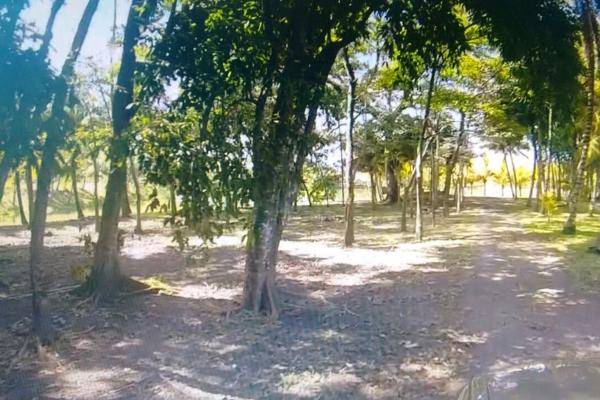 Foto de rancho en el tejar rancho del padre s/n , el tejar, medellín, veracruz de ignacio de la llave, 0 foto 04 Foto de rancho en venta en el tejar rancho del padre s/n , el tejar, medellín, veracruz de ignacio de la llave, 0 No. 04