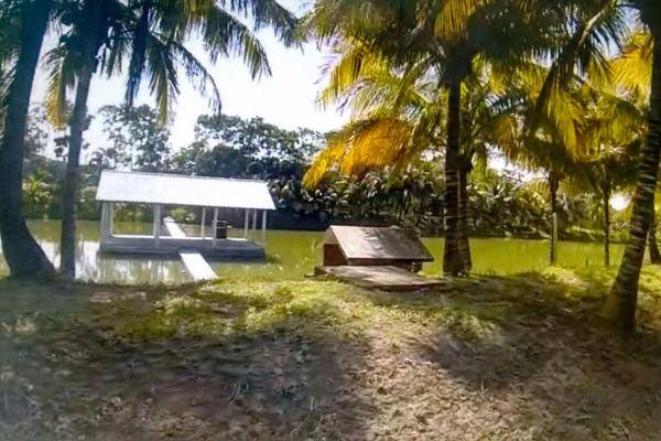 Foto de rancho en el tejar rancho del padre s/n , el tejar, medellín, veracruz de ignacio de la llave, 0 foto 06 Foto de rancho en venta en el tejar rancho del padre s/n , el tejar, medellín, veracruz de ignacio de la llave, 0 No. 06