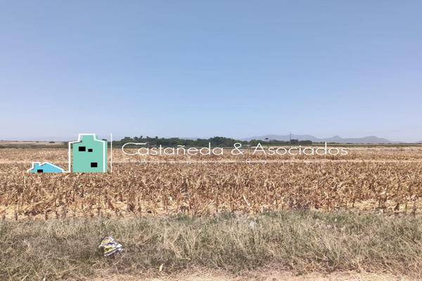 Foto de terreno comercial en el tigre , juan aldama (el tigre), navolato, sinaloa, 0 foto 02 Foto de terreno comercial en venta en el tigre , juan aldama (el tigre), navolato, sinaloa, 0 No. 02