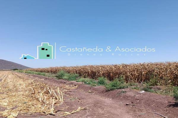 Foto de terreno comercial en el tigre , juan aldama (el tigre), navolato, sinaloa, 0 foto 04 Foto de terreno comercial en venta en el tigre , juan aldama (el tigre), navolato, sinaloa, 0 No. 04
