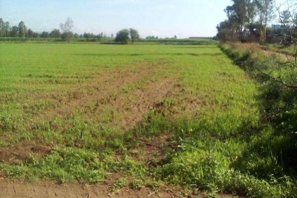 Foto de terreno habitacional en , el torito, jesús maría, aguascalientes, 0 foto 01 Foto de terreno habitacional en venta en , el torito, jesús maría, aguascalientes, 0 No. 01