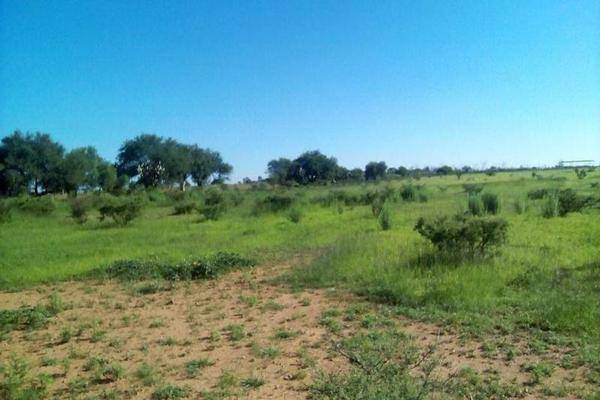 Foto de terreno habitacional en , el torito, jesús maría, aguascalientes, 0 foto 04 Foto de terreno habitacional en venta en , el torito, jesús maría, aguascalientes, 0 No. 04