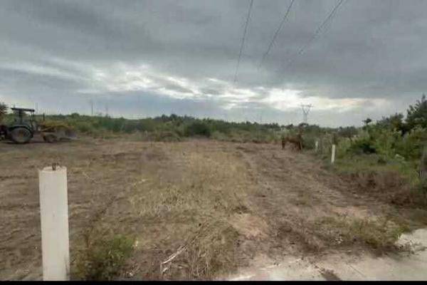 Foto de terreno habitacional en , electricistas, altamira, tamaulipas, 30540516 foto 03 Foto de terreno habitacional en venta en , electricistas, altamira, tamaulipas, 30540516 No. 03