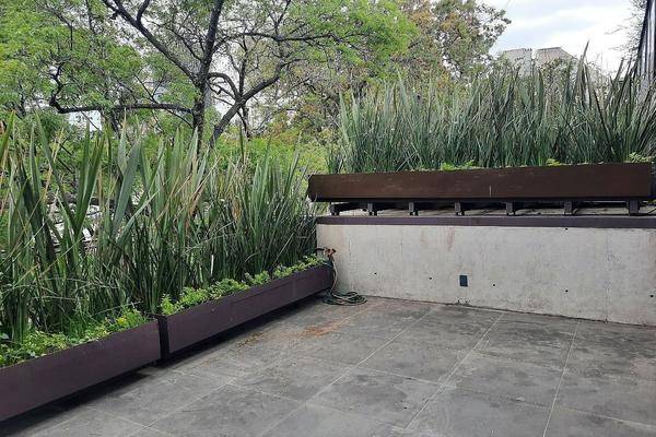 Foto de departamento en emilio castelar , polanco iv sección, miguel hidalgo, df / cdmx, 30818921 foto 02 Foto de departamento en renta en emilio castelar , polanco iv sección, miguel hidalgo, df / cdmx, 30818921 No. 02