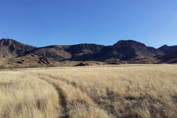 Foto de rancho en entre flores magon y villa ahumada , ahumada, ahumada, chihuahua, 3827086 foto 03 Foto de rancho en venta en entre flores magon y villa ahumada , ahumada, ahumada, chihuahua, 3827086 No. 03