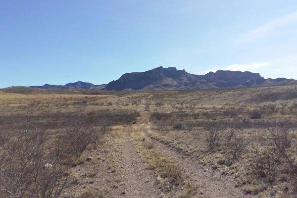 Foto de rancho en entre flores magon y villa ahumada , ahumada, ahumada, chihuahua, 3827086 foto 07 Foto de rancho en venta en entre flores magon y villa ahumada , ahumada, ahumada, chihuahua, 3827086 No. 07