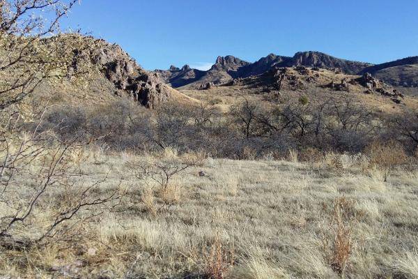 Foto de rancho en entre flores magon y villa ahumada , ahumada, ahumada, chihuahua, 3827086 foto 08 Foto de rancho en venta en entre flores magon y villa ahumada , ahumada, ahumada, chihuahua, 3827086 No. 08