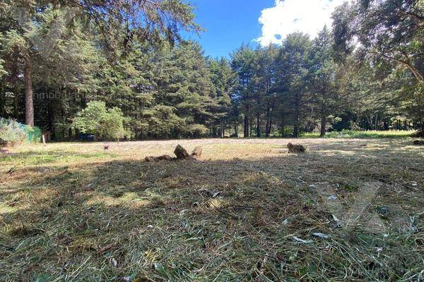 Foto de terreno habitacional en , ex-hacienda jajalpa, ocoyoacac, méxico, 0 foto 01 Foto de terreno habitacional en venta en , ex-hacienda jajalpa, ocoyoacac, méxico, 0 No. 01