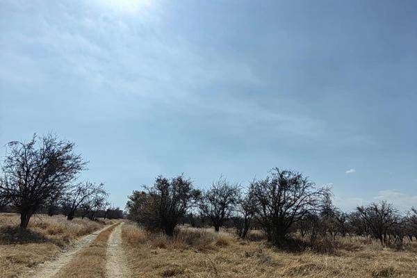 Foto de terreno comercial en federal mexico puebla 101, real de huejotzingo, huejotzingo, puebla, 0 foto 02 Foto de terreno comercial en renta en federal mexico puebla 101, real de huejotzingo, huejotzingo, puebla, 0 No. 02