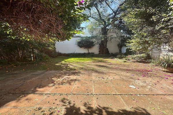 Foto de casa en fresnos , san angel inn, álvaro obregón, df / cdmx, 30915803 foto 04 Foto de casa en renta en fresnos , san angel inn, álvaro obregón, df / cdmx, 30915803 No. 04