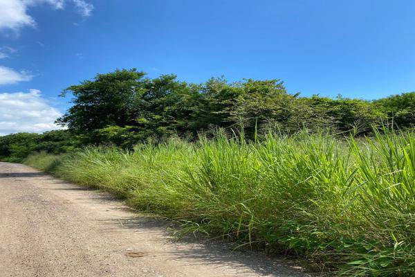 Foto de terreno habitacional en guadalajara , tampico alto centro, tampico alto, veracruz de ignacio de la llave, 21521149 foto 01 Foto de terreno habitacional en venta en guadalajara , tampico alto centro, tampico alto, veracruz de ignacio de la llave, 21521149 No. 01