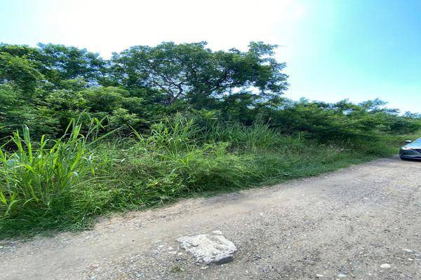 Foto de terreno habitacional en guadalajara , tampico alto centro, tampico alto, veracruz de ignacio de la llave, 21521149 foto 02 Foto de terreno habitacional en venta en guadalajara , tampico alto centro, tampico alto, veracruz de ignacio de la llave, 21521149 No. 02