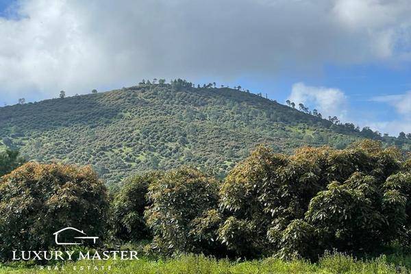 Foto de rancho en h , ario de rosales, ario, michoacán de ocampo, 0 foto 01 Foto de rancho en venta en h , ario de rosales, ario, michoacán de ocampo, 0 No. 01