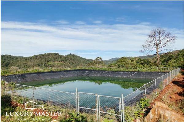 Foto de rancho en h , ario de rosales, ario, michoacán de ocampo, 0 foto 02 Foto de rancho en venta en h , ario de rosales, ario, michoacán de ocampo, 0 No. 02