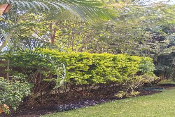 Foto de terreno habitacional en hacienda los yunkes , los héroes querétaro, el marqués, querétaro, 0 foto 03 Foto de terreno habitacional en venta en hacienda los yunkes , los héroes querétaro, el marqués, querétaro, 0 No. 03