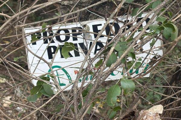 Foto de terreno habitacional en , huajuquito o los cavazos, santiago, nuevo león, 29917370 foto 03 Foto de terreno habitacional en venta en , huajuquito o los cavazos, santiago, nuevo león, 29917370 No. 03