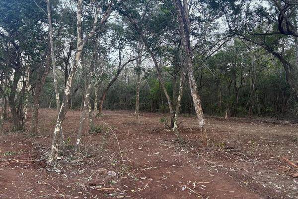 Foto de terreno habitacional en , huajuquito o los cavazos, santiago, nuevo león, 29917370 foto 04 Foto de terreno habitacional en venta en , huajuquito o los cavazos, santiago, nuevo león, 29917370 No. 04