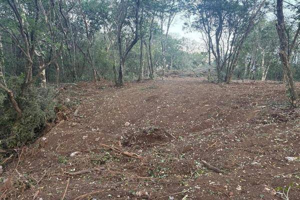 Foto de terreno habitacional en , huajuquito o los cavazos, santiago, nuevo león, 29917370 foto 05 Foto de terreno habitacional en venta en , huajuquito o los cavazos, santiago, nuevo león, 29917370 No. 05