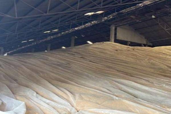 Foto de rancho en huerta camichinesranchería la yerbabuenamunicipio de tamazula de gordianojalisco. , tamazula de gordiano centro, tamazula de gordiano, jalisco, 0 foto 05 Foto de rancho en venta en huerta camichinesranchería la yerbabuenamunicipio de tamazula de gordianojalisco. , tamazula de gordiano centro, tamazula de gordiano, jalisco, 0 No. 05