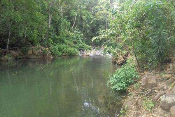 Foto de casa en , hueyapan de ocampo, hueyapan de ocampo, veracruz de ignacio de la llave, 11262174 foto 05 Foto de casa en venta en , hueyapan de ocampo, hueyapan de ocampo, veracruz de ignacio de la llave, 11262174 No. 05