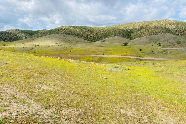 Foto de terreno habitacional en ignacio zaragoza 1, francisco zarco (valle de guadalupe), ensenada, baja california, 24843234 foto 02 Foto de terreno habitacional en venta en ignacio zaragoza 1, francisco zarco (valle de guadalupe), ensenada, baja california, 24843234 No. 02
