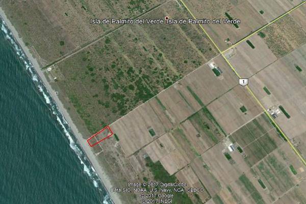 Foto de terreno comercial en isla del bosque , teacapan, escuinapa, sinaloa, 4669163 foto 02 Foto de terreno comercial en venta en isla del bosque , teacapan, escuinapa, sinaloa, 4669163 No. 02