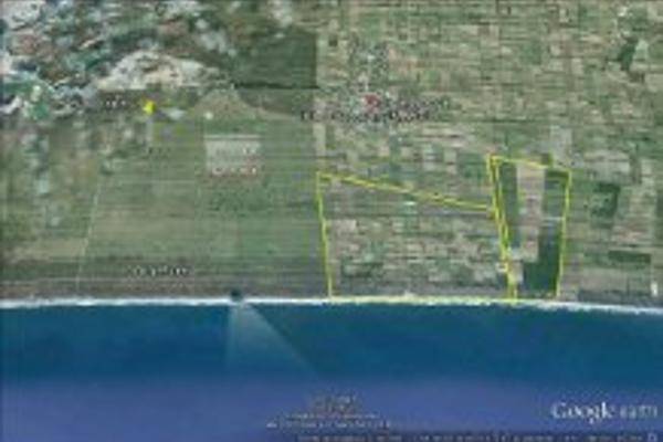 Foto de terreno comercial en isla del bosque , teacapan, escuinapa, sinaloa, 4669163 foto 03 Foto de terreno comercial en venta en isla del bosque , teacapan, escuinapa, sinaloa, 4669163 No. 03
