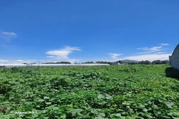 Foto de terreno habitacional en jalapango , residencial san luis, chiautla, méxico, 0 foto 03 Foto de terreno habitacional en venta en jalapango , residencial san luis, chiautla, méxico, 0 No. 03