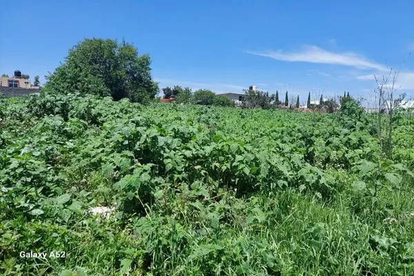 Foto de terreno habitacional en jalapango , residencial san luis, chiautla, méxico, 0 foto 04 Foto de terreno habitacional en venta en jalapango , residencial san luis, chiautla, méxico, 0 No. 04