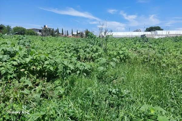 Foto de terreno habitacional en jalapango , residencial san luis, chiautla, méxico, 0 foto 05 Foto de terreno habitacional en venta en jalapango , residencial san luis, chiautla, méxico, 0 No. 05