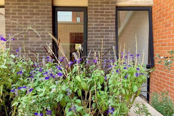 Foto de departamento en jose maria guadalupe zuno hernandez , americana, guadalajara, jalisco, 0 foto 04 Foto de departamento en renta en jose maria guadalupe zuno hernandez , americana, guadalajara, jalisco, 0 No. 04