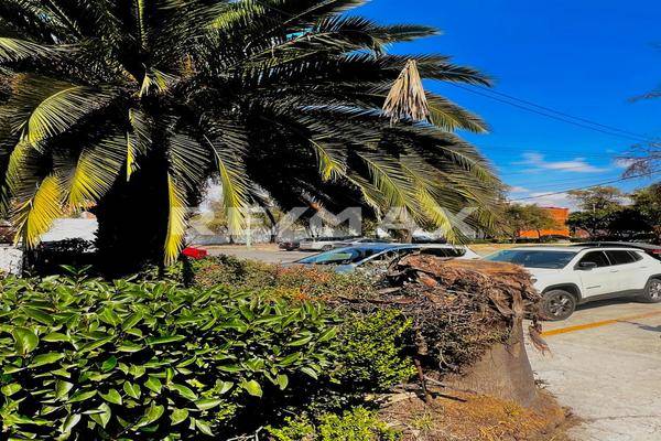 Foto de departamento en josé maría torres , generalísimo josé maría morelos y pavón (sección sur), cuautitlán izcalli, méxico, 0 foto 02 Foto de departamento en renta en josé maría torres , generalísimo josé maría morelos y pavón (sección sur), cuautitlán izcalli, méxico, 0 No. 02