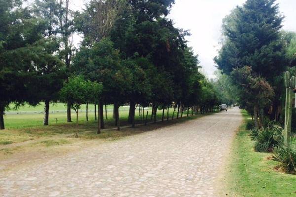 Foto de terreno habitacional en kilometro 39.5 carre. mexico pachuca , club de polo rancho azul , ampliaci?n ejido de tec?mac, tec?mac, m?xico, 6363345 foto 04 Foto de terreno habitacional en venta en kilometro 39.5 carre. mexico pachuca , club de polo rancho azul , ampliaci?n ejido de tec?mac, tec?mac, m?xico, 6363345 No. 04