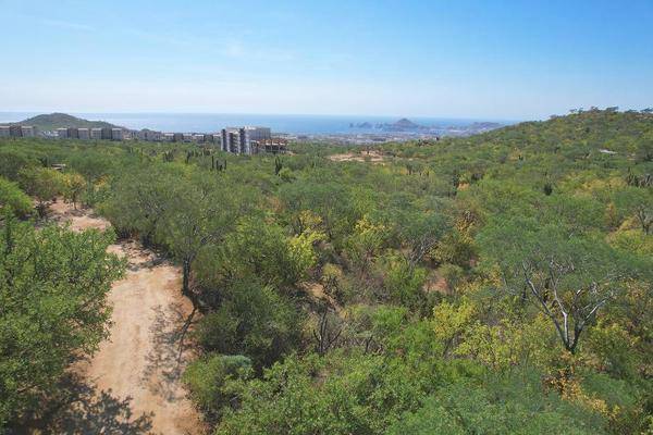 Foto de terreno habitacional en kilometro 6 , el tezal, los cabos, baja california sur, 0 foto 04 Foto de terreno habitacional en venta en kilometro 6 , el tezal, los cabos, baja california sur, 0 No. 04