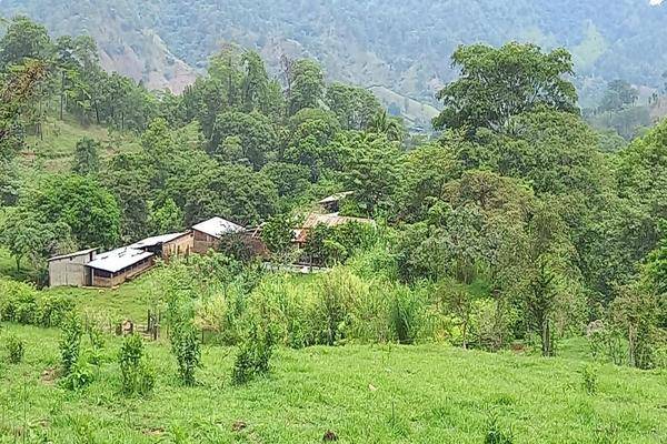 Foto de rancho en la ermita , buenavista, villa corzo, chiapas, 0 foto 01 Foto de rancho en venta en la ermita , buenavista, villa corzo, chiapas, 0 No. 01