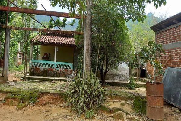 Foto de rancho en la ermita , buenavista, villa corzo, chiapas, 0 foto 02 Foto de rancho en venta en la ermita , buenavista, villa corzo, chiapas, 0 No. 02