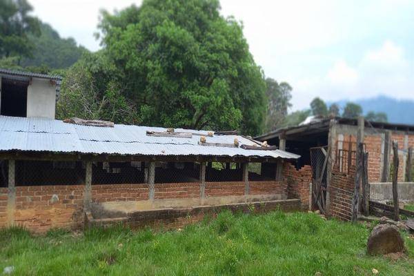 Foto de rancho en la ermita , buenavista, villa corzo, chiapas, 0 foto 03 Foto de rancho en venta en la ermita , buenavista, villa corzo, chiapas, 0 No. 03