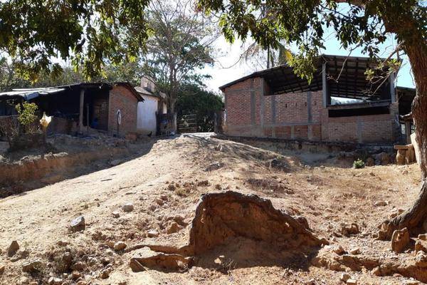 Foto de rancho en la ermita , buenavista, villa corzo, chiapas, 0 foto 04 Foto de rancho en venta en la ermita , buenavista, villa corzo, chiapas, 0 No. 04