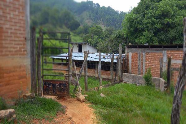 Foto de rancho en la ermita , buenavista, villa corzo, chiapas, 0 foto 05 Foto de rancho en venta en la ermita , buenavista, villa corzo, chiapas, 0 No. 05