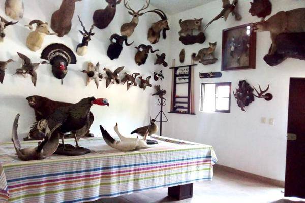 Foto de casa en la finca, villa guerrero, estado de méxico , la finca, villa guerrero, méxico, 0 foto 03 Foto de casa en venta en la finca, villa guerrero, estado de méxico , la finca, villa guerrero, méxico, 0 No. 03