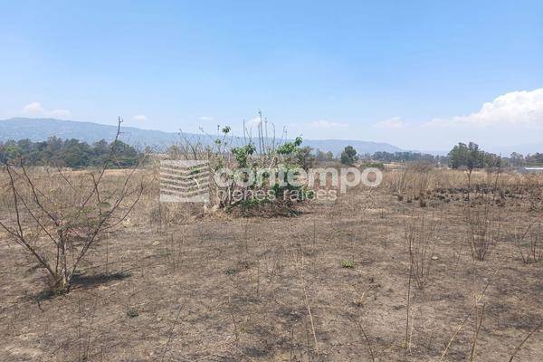 Foto de terreno habitacional en , la finca, villa guerrero, méxico, 28003999 foto 02 Foto de terreno habitacional en venta en , la finca, villa guerrero, méxico, 28003999 No. 02