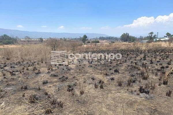 Foto de terreno habitacional en , la finca, villa guerrero, méxico, 28003999 foto 03 Foto de terreno habitacional en venta en , la finca, villa guerrero, méxico, 28003999 No. 03