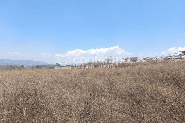 Foto de terreno habitacional en , la finca, villa guerrero, méxico, 28003999 foto 04 Foto de terreno habitacional en venta en , la finca, villa guerrero, méxico, 28003999 No. 04