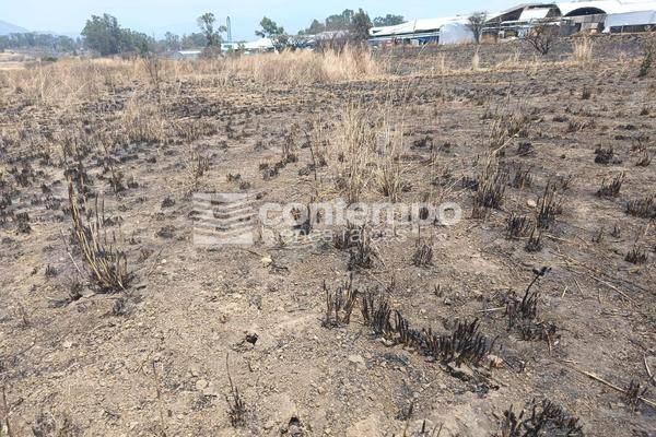 Foto de terreno habitacional en , la finca, villa guerrero, méxico, 28003999 foto 05 Foto de terreno habitacional en venta en , la finca, villa guerrero, méxico, 28003999 No. 05