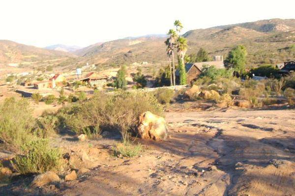 Foto de rancho en , la misión, ensenada, baja california, 5987883 foto 17 Foto de rancho en renta en , la misión, ensenada, baja california, 5987883 No. 17