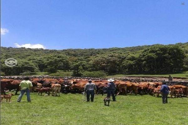 Foto de rancho en la soledad , la soledad (el mogote), chapa de mota, méxico, 20072502 foto 01 Foto de rancho en venta en la soledad , la soledad (el mogote), chapa de mota, méxico, 20072502 No. 01