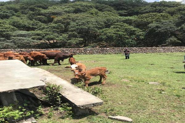 Foto de rancho en la soledad , la soledad (el mogote), chapa de mota, méxico, 20072502 foto 02 Foto de rancho en venta en la soledad , la soledad (el mogote), chapa de mota, méxico, 20072502 No. 02