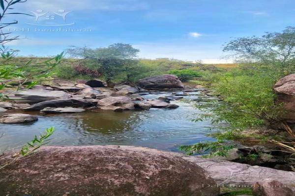 Foto de terreno habitacional en , lago de jacales, santa isabel, chihuahua, 0 foto 02 Foto de terreno habitacional en venta en , lago de jacales, santa isabel, chihuahua, 0 No. 02