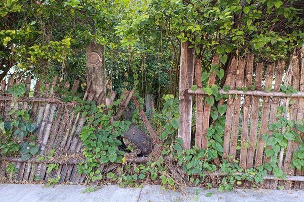 Foto de terreno habitacional en , laredo, poza rica de hidalgo, veracruz de ignacio de la llave, 0 foto 02 Foto de terreno habitacional en venta en , laredo, poza rica de hidalgo, veracruz de ignacio de la llave, 0 No. 02